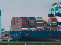 Freight Forwarder là gì? Vai trò trong xuất nhập khẩu hiện nay