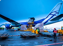 Tàu ngàn tấn đâm hỏng cầu An Thái