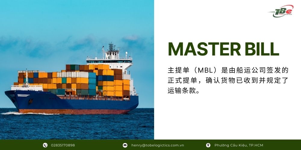 MBL 的定义